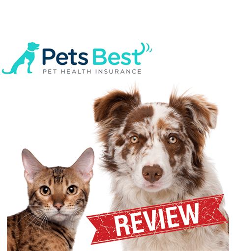 mi pet insurance reviews.